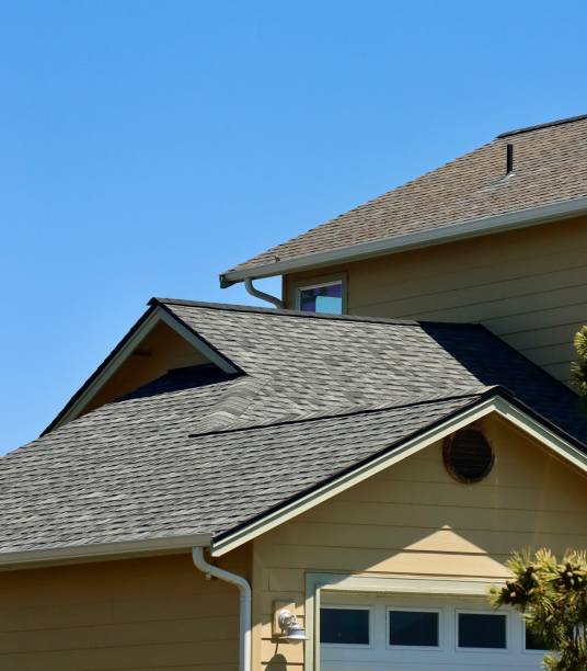 Best Roof Leak Repair  in Nettleton, MS